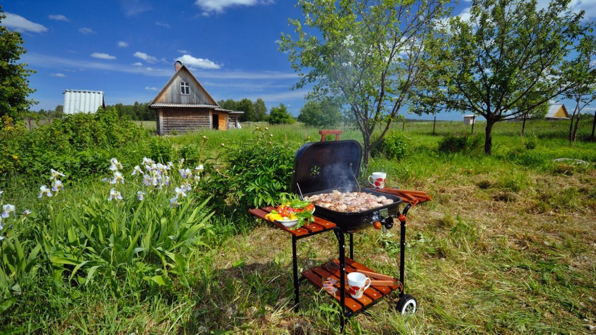 Smoked Salt: A Summer Barbecue Game-Changer - My Store