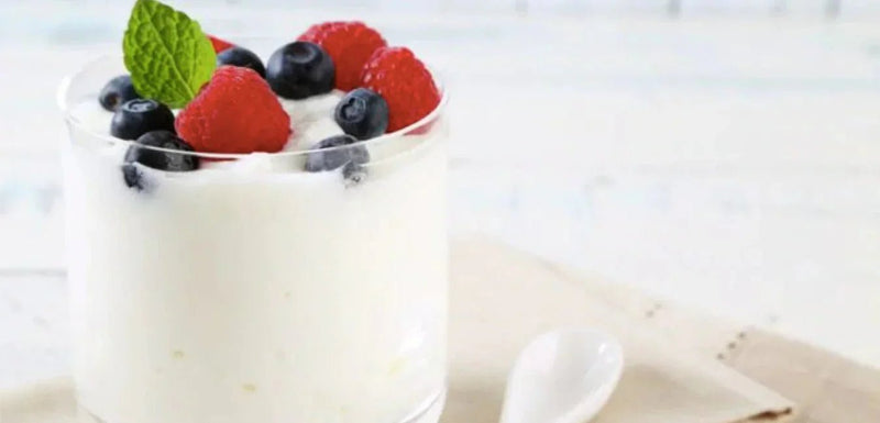 Vegan Nut-Based Yogurt - My Store